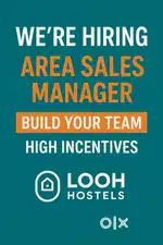 Area Sales Manager (ASM)