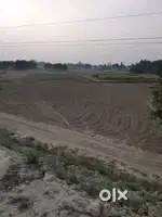 NH-233 पर Commercial Plot (16 बिस्वा 1 करोड़ : प्रति बिस्वा 6.25 लाख)