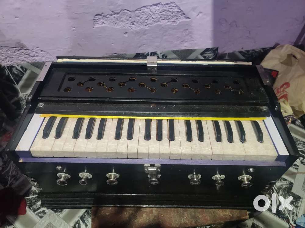 Mai apna harmonium bechna chahtihu