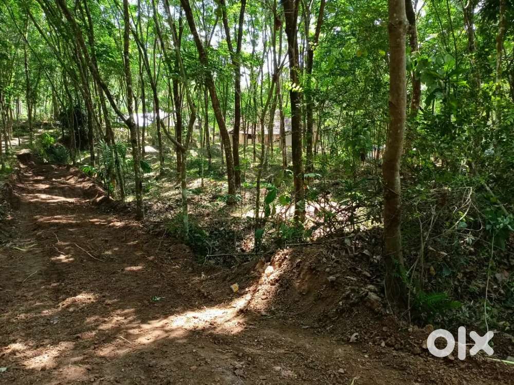 10 cent Residential plot