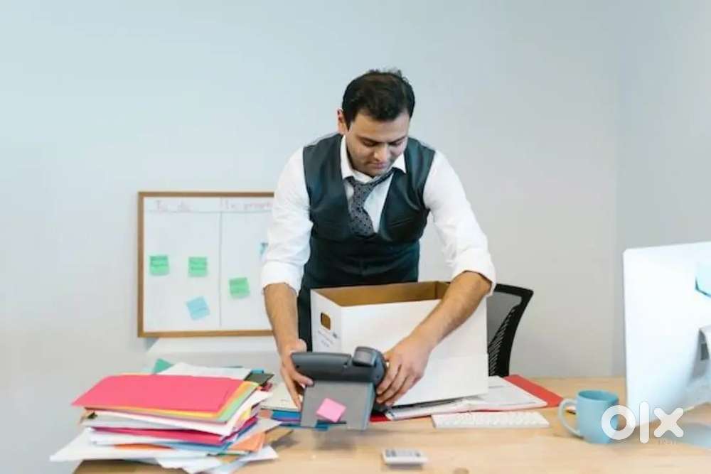 OFFICE BOY JOB
