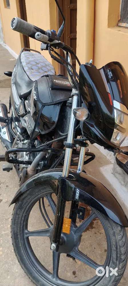 Condition Bardya ha gadhi ke