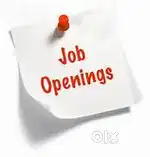 12 pass Urgent Needed Back Office Staff in Guwahati!