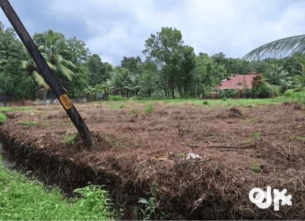 22 cents land for sale 300 m from kurupanthara krishi bhavan