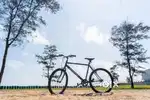 Blue Rockrider MTB ST 20 High Frame Bicycle,

Size: 26 Inch