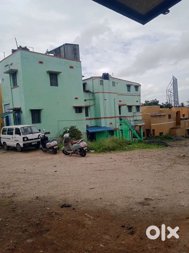 House for rent, Family and Bachelor