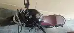 FZS V4 Excellent condition, single owner