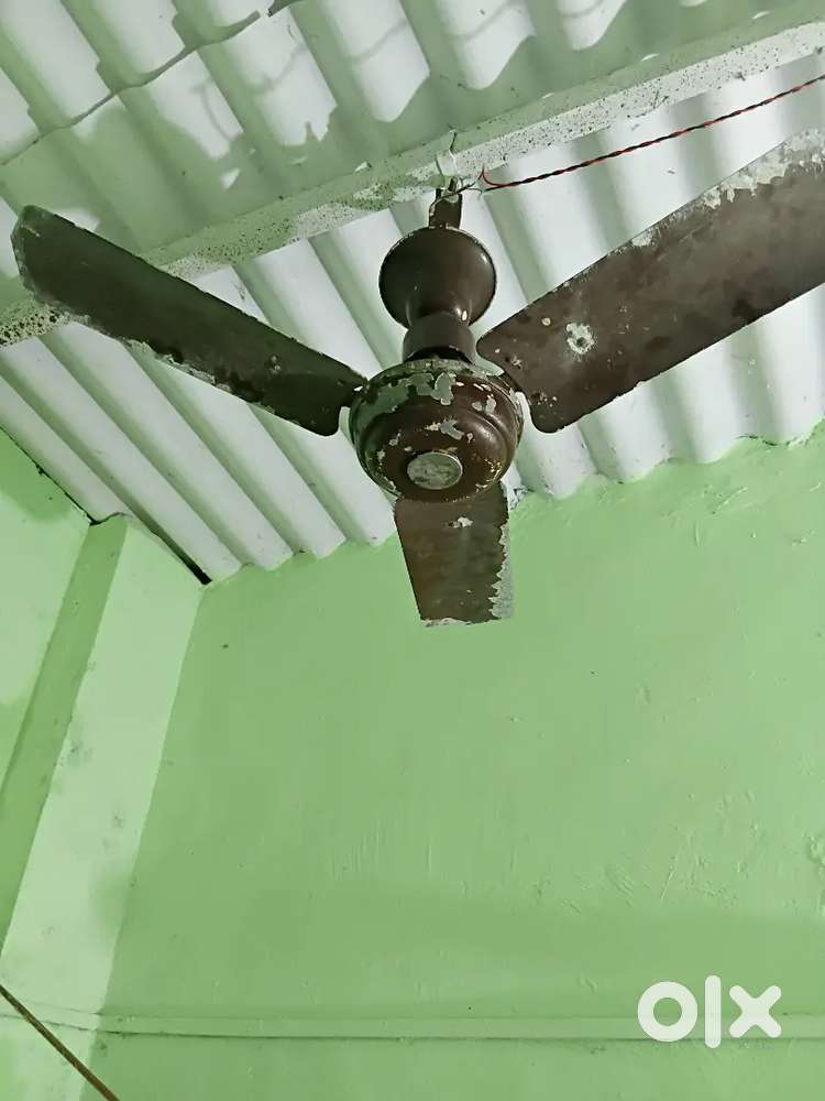Antique fan