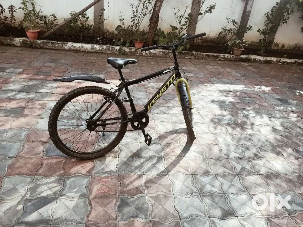 Keysto Matt Black , 5 months old only .