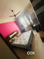 Need a female flatmate