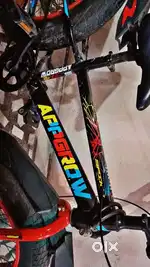 Appgrow fat bike dual disk