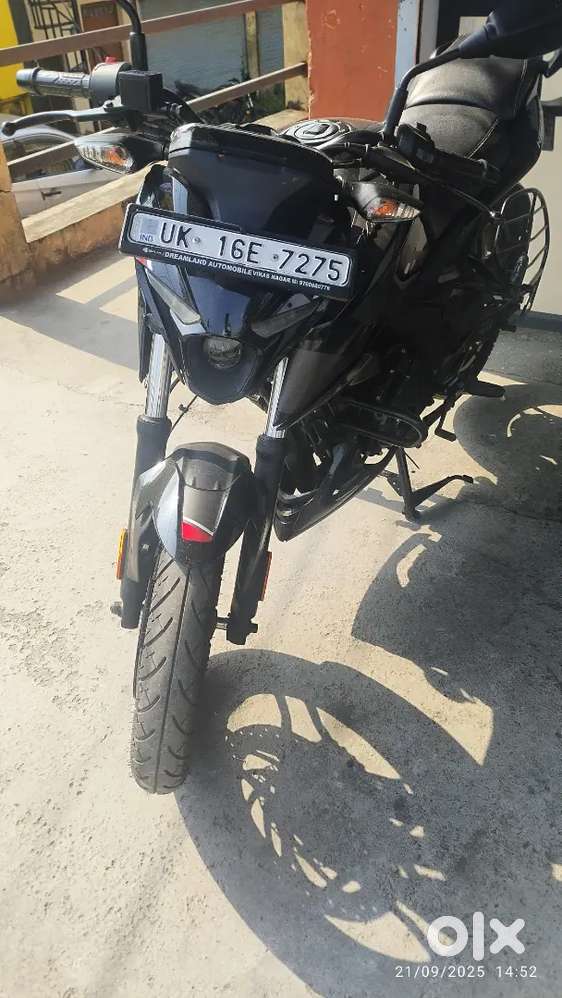 Pulsar n160, first owner