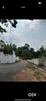 Premium plot low rate