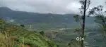 Vagamon AVT View 270 cent with old House for sale