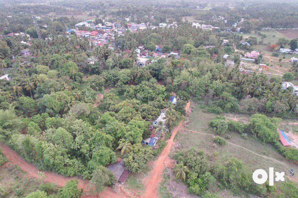 House plot for sale at Elappully, Palakkad