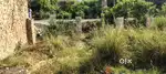 plot on road hai soraon to sikandra phoolpur  road soraon se 2 km par
