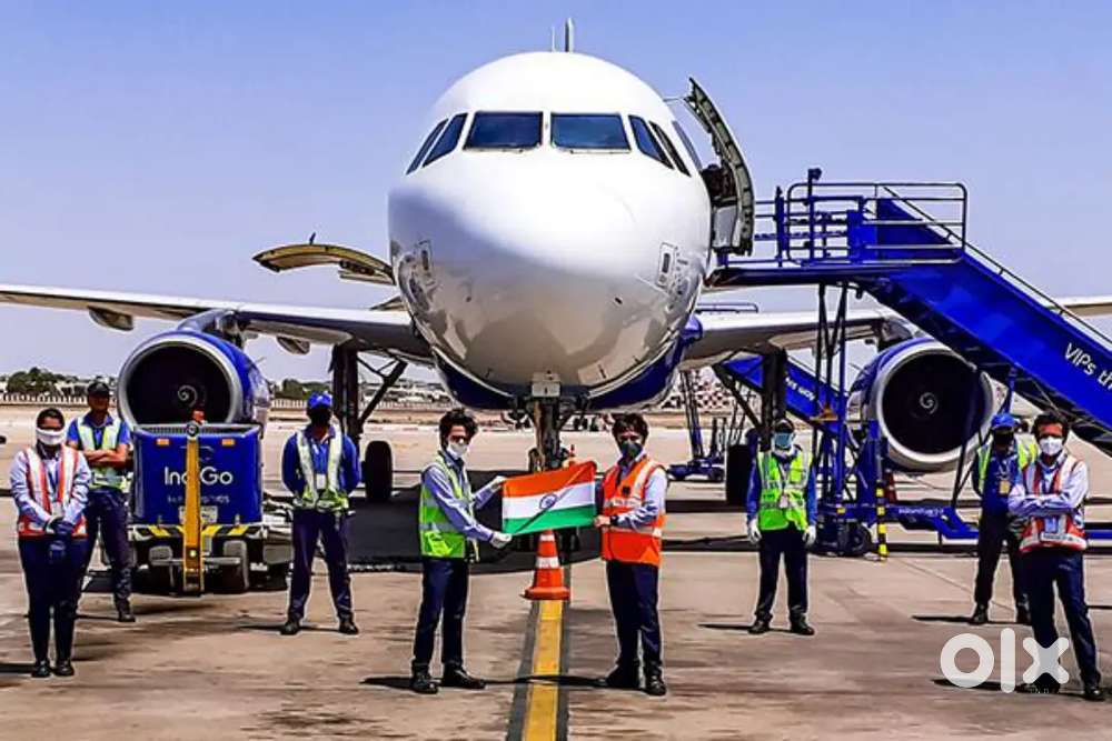 Offering full time job in Indigo Airlines company for all candidates