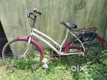 LADY BIRD RUNNING CONDITIONS LADIES CYCLE