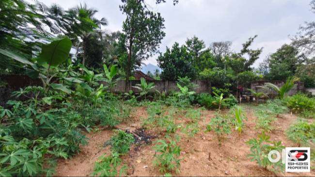 Residential plot for sale at Akathethara, Palakkad