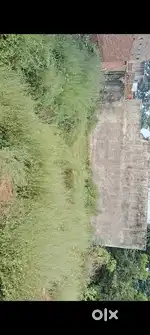 Masjid k aage bhoutt saste rate mai chakor plote hai call kare