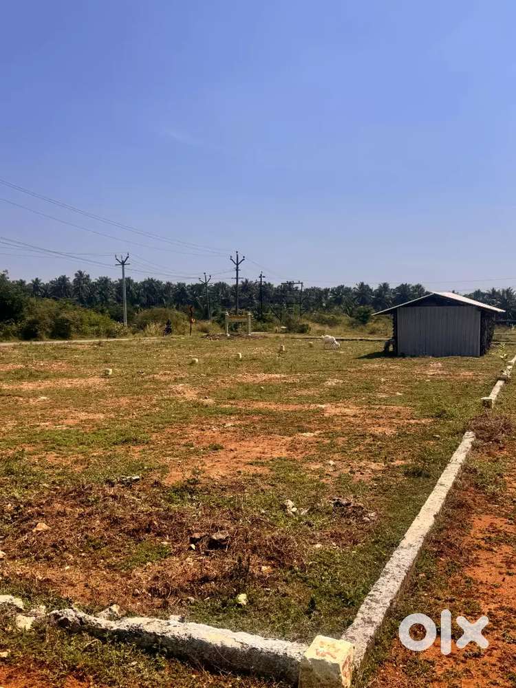 Low budget project DTCP Approved plots for sale