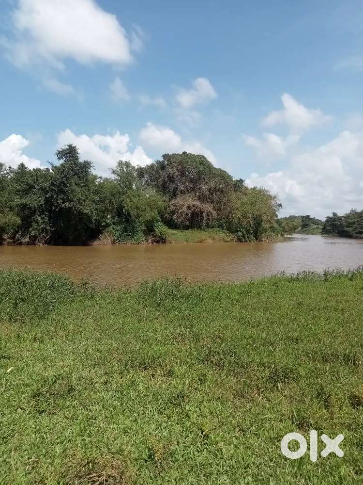 River side land for sale