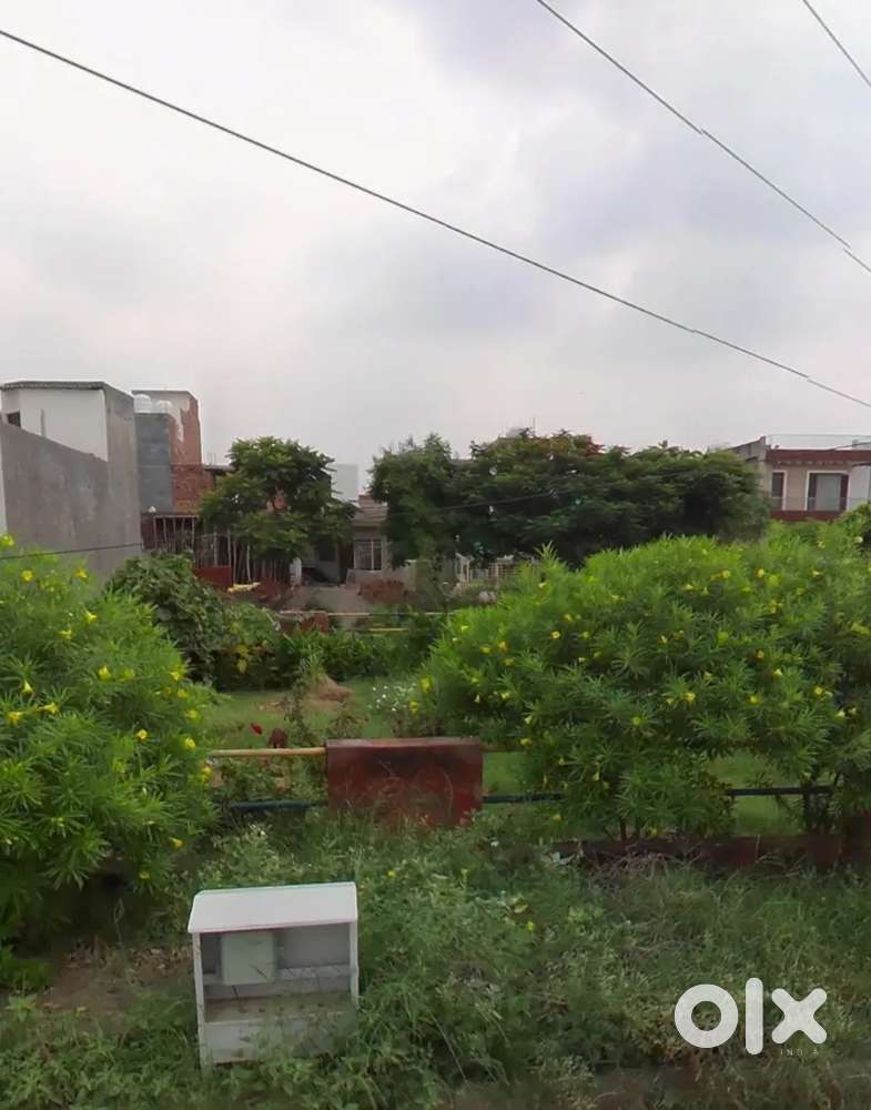 For sale 250 gaj plot near radison sector 123 mohali