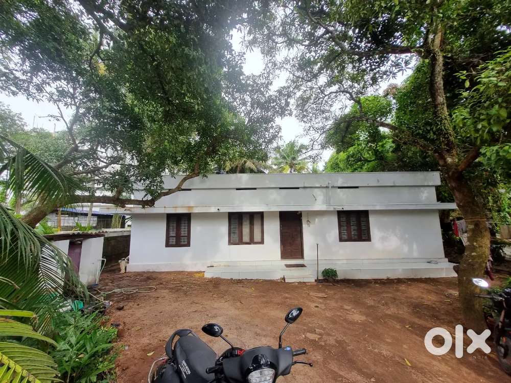 Plot with house for sale at Randamkutty