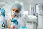 Lab technician BSC MLT DMLT Female candidates preferred