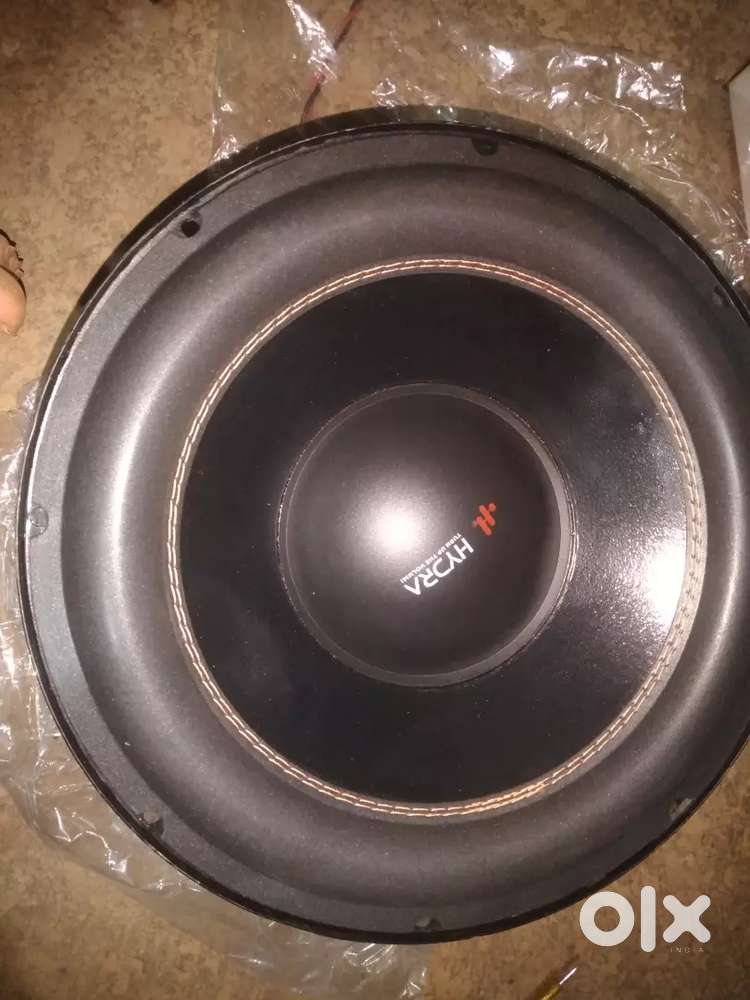 Car subwoofer 12 inch