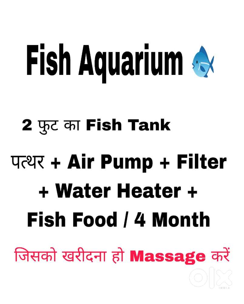 2 foot Fish Aquarium