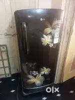 Lg refrigerator