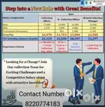 Collection officer