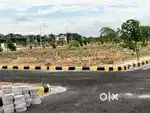 JP DARGA PLOTS