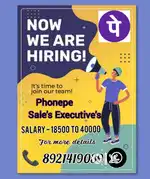 Phonepe Sales Executive