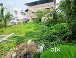 7 cents  residential plot for sale at kadavanthra.