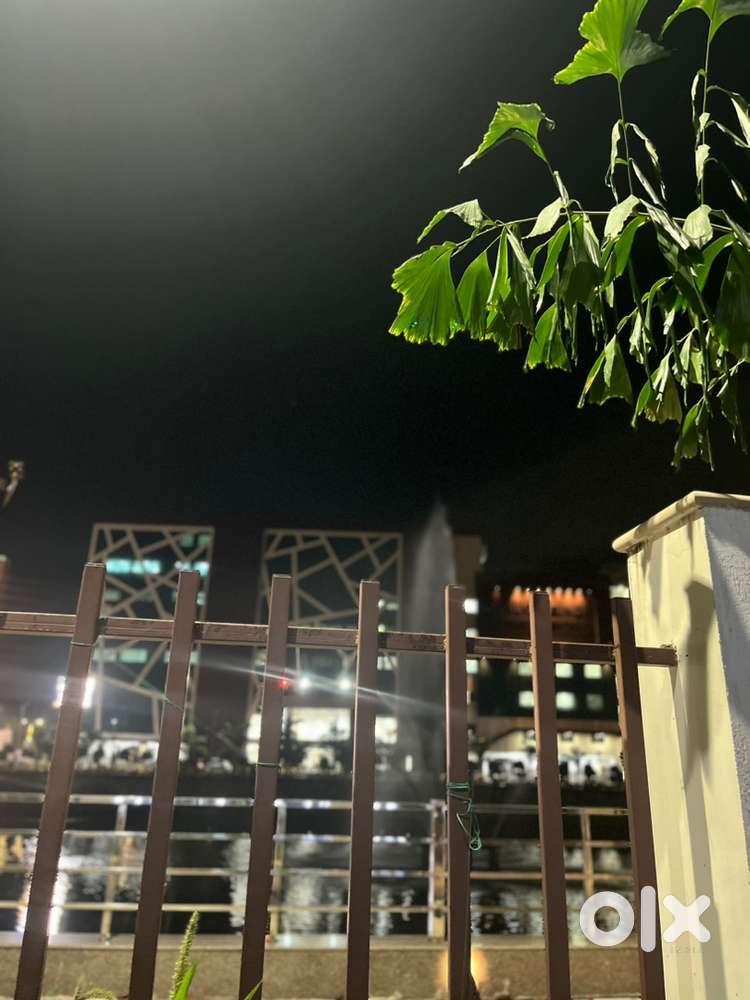 Calling job only for girls