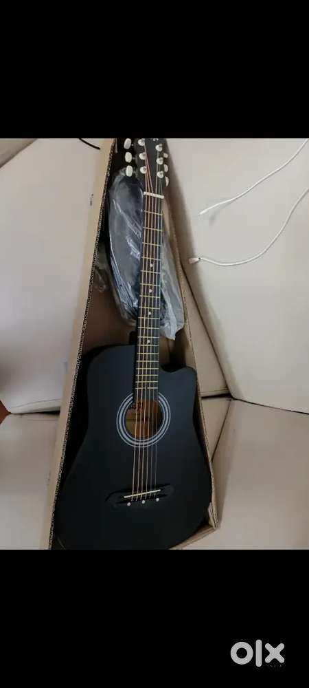 Guitar Instrument
