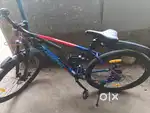 Firefox cycle