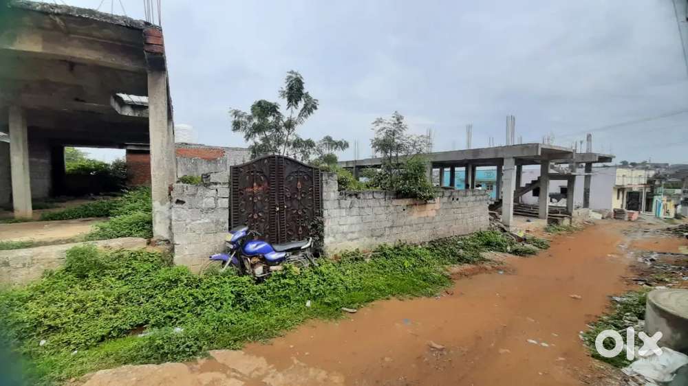 Toor colony