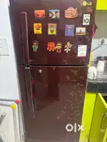 Lg fridge double door