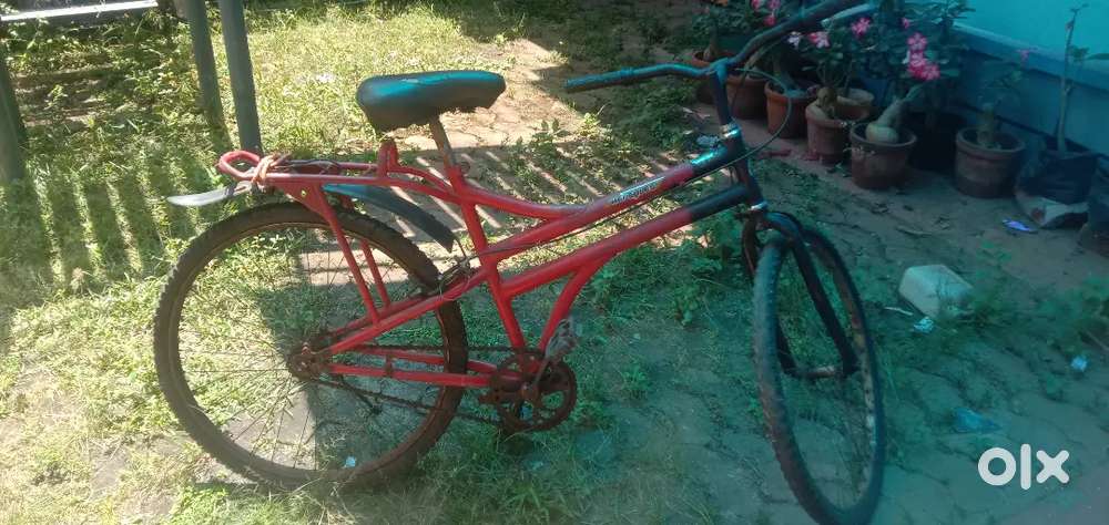 Back new tire, back brake new etc.