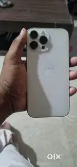 13 pro max 256 gb