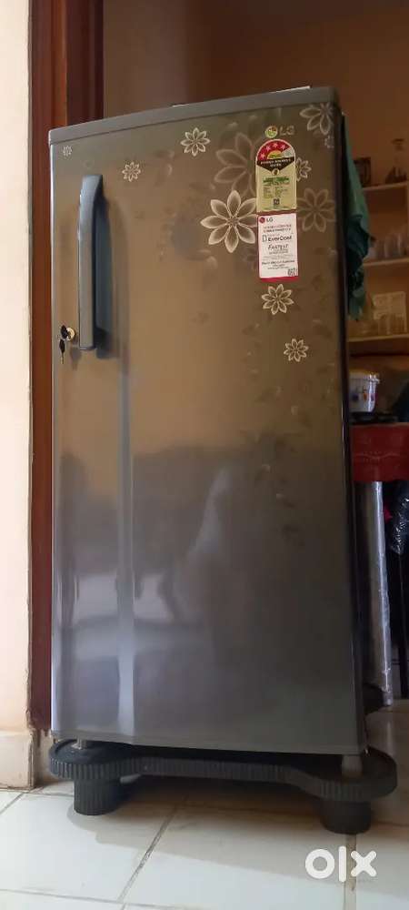 Electronic fridge