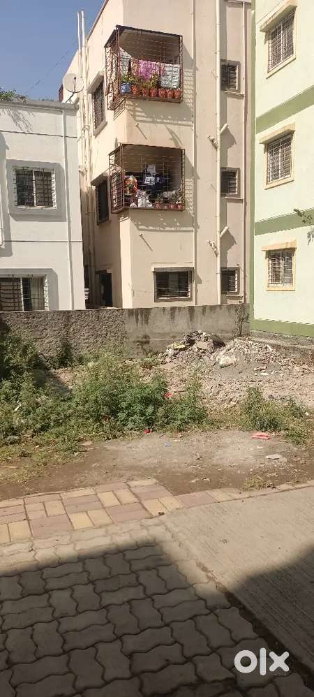 Light and water available