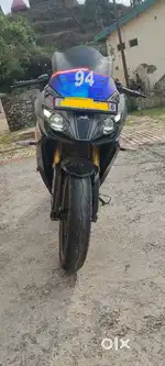 Titanium Black Color Horse