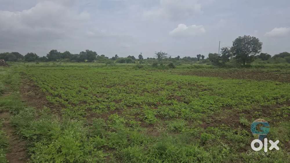 १००० चौरस मीटर प्लॉट विकणे आहे
