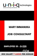 IT developer