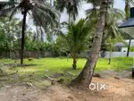 7 Cent Plot for sale near Vallikkavu