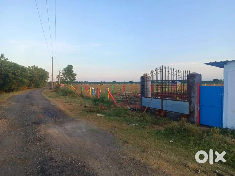 Organic farm land , farm land ,
